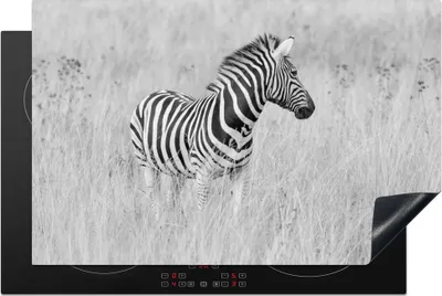 Obrázek produktu pro KitchenYeah® Krycí deska na sporák zebra na louce, 80x52cm, dekorace do kuchyně, keramický kryt varné desky, krycí deska na varnou desku