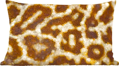 Produktbild von MuchoWow® Zierkissen Sofakissen Wohnzimmer Dekokissen 50x30 cm Nahaufnahme von Leopardenmustern - Wohnzimmerdekoration - Polster mit Photo