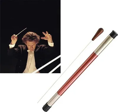 Productafbeelding van Dailygoods- Dirigeer Baton Lichtgewicht - Houten Handgreep - Glasvezel Schacht - 39,8 cm - Draagdoos - Duurzaam en Milieuvriendelijk - Dirigeerstok