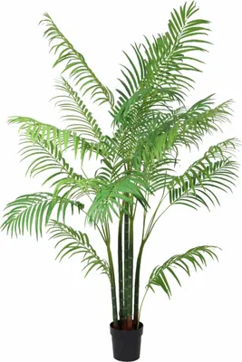 Produktbild von Areca Palme Kunstpflanze 190cm Große Goldfruchtpalme Deko Pflanze Pflegefreie
