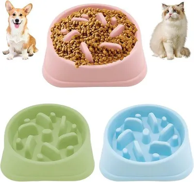 Produktbild von Famanu Anti-Schlucknapf für Hunde - Rutschfeste Fressschale - Langsame Futteraufnahme - 24,7 x 4,5 cm