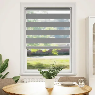 Produktbild von vidaXL Zebra-Rollo 100,9 x 175 cm, Stoffbreite 96,7 cm, grau