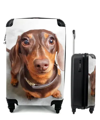 Obrázek produktu pro Kufr Příruční zavazadlo na kolečkách Malý cestovní kufr na 4 kolečkách Detail hlavy jezevčíka - Velikost kabiny < 55x40x23 cm a 55x40x20 cm -