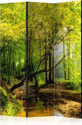 Produktbild von 3-teiliger Doppelseitiger Vlies Paravent - Forest Clearing 135x172 cm Landschaften c-B-0354-z-b
