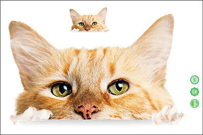 Produktbild von Badezimmer-Toilettendeckel-Aufkleber, lebendige lustige Katze, wasserdicht, leicht zu entfernen, Badezimmer-Dekorationsaufkleber