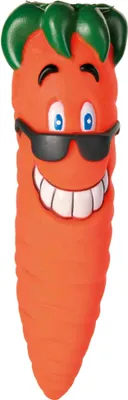 Image de Snack-Jouets Jouet pour chien 20 cm