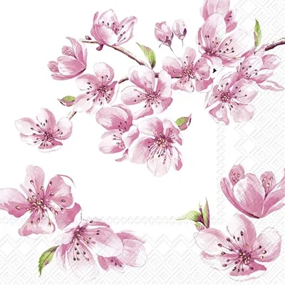 Produktbild von Serviette "Sakura Rose", 20 Stück