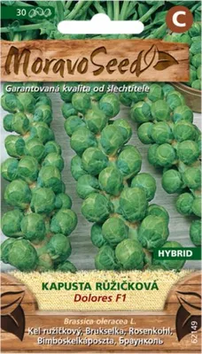 Immagine prodotto di Cavoletti di Bruxelles DOROLES F1 - ibrido 62149