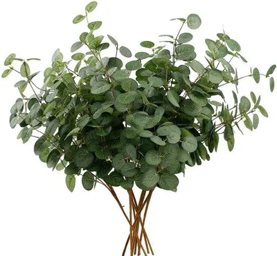 Produktbild von Famanu Kunstblumen Set aus 6 Eukalyptussträußen - Grün