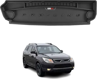 Productafbeelding van FROGUM ProLine bagagebakbeschermer, zwart, rubber, voor HYUNDAI ix55