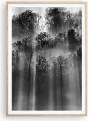 Produktbild von Gerahmtes Poster - Rahmen in heller Eiche - Bäume drinnen Nebel - 70x100 cm - Wand Bild - Wanddeko - Wandbilder - Kunstposter - Wandposter - Bilderrahmen - Bilder - Kunstdruck - P2NPA70x100-4889