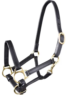 Produktbild von Waldhausen Halfter Leder Fohlen