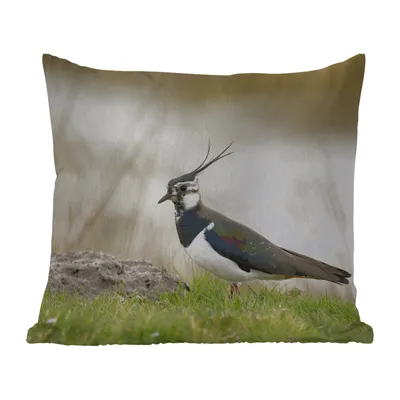 Produktbild von MuchoWow® Outdoor Kissen - Vogel - Gras - Tiere - Natur - Kiebitz - 60x60 cm - Wetterfest - Lounge Kissen - Dekoration - Schlaf Kissen