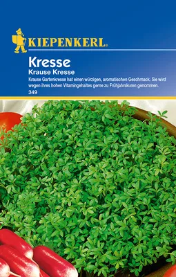 Produktbild von Krause Kresse | Kressesamen von Kiepenkerl