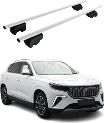 Produktbild von Dachträger Grundtäger für Togg T10X 2023-2025 75kg ABE Metall Silber 2 tlg