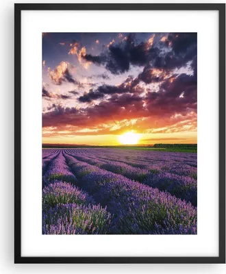Produktbild von Gerahmtes Poster - Schwarzer Rahmen - Lavendel Berge Feld - 40x50 cm - Wand Bild - Wanddeko - Wandbilder - Kunstposter - Wandposter - Bilderrahmen - Bilder - Kunstdruck - Wandbild - P2BPA40x50-3816
