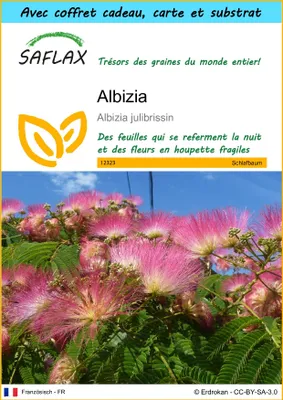 Image de SAFLAX Ensemble-cadeau - Albizia - 50 graines - Albizia