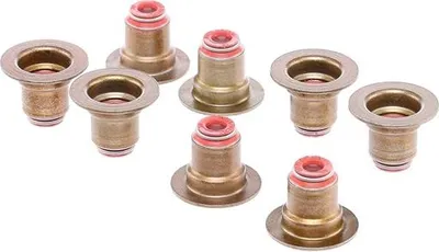 Produktbild von REINZ Ventilschaftdichtung-Satz 12-35548-01 für FORD Fiesta Mk6 Schrägheck (JA8, JR8)