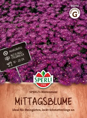 Produktbild von SPERLI Mittagsblumensamen Blütenmeer Delosperma floribunda 45 Pflanzen