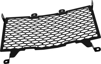 Image de ZIEGER Protecteur de radiateur Pro compatible avec CFMoto 450 MT noir