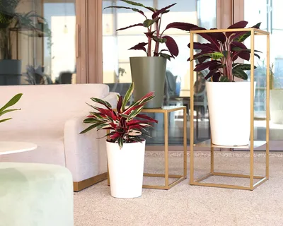 Image de Pot de fleurs haut, de couleur blanche, 80 cm, pour intérieur et extérieur
