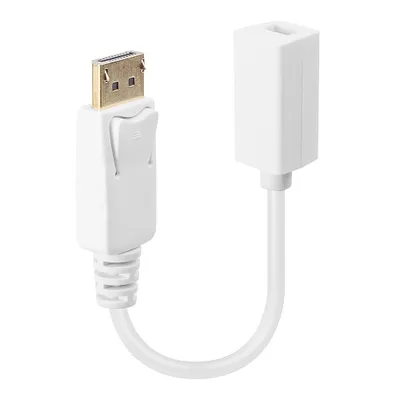 Zdjęcie produktu dla Adapter Lindy DisplayPort