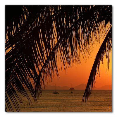 Produktbild von Wallario selbstklebende Möbelfolie/ Tischdecke für Innen und Außen, Größe: 70 x 70 cm - Sonnenuntergang unter Palmenblättern