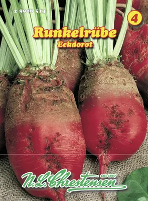 Produktbild von Runkelrübe Eckdorot Futterrübe Typ Rote Walze Rübe