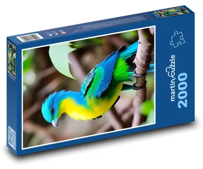 Obrázok produktu pre Puzzle 2000 Farebný vták Turako - martinpuzzle