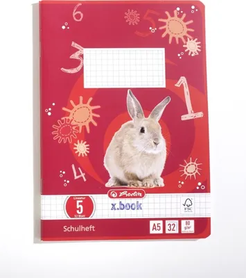 Produktbild von herlitz Schulheft x.book DIN A5 Lineatur 5 / kariert 32 Blatt