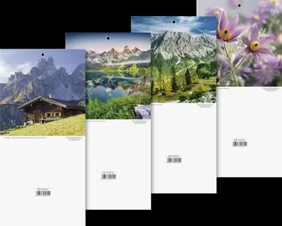 Image de BRUNNEN 1070341 Calendrier mural avec fond 14,5 x 29,5 cm