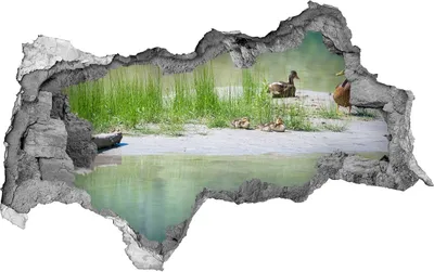 Produktbild von Selbstklebender Loch-3D-Aufkleber 95x73 cm Ente Wasser