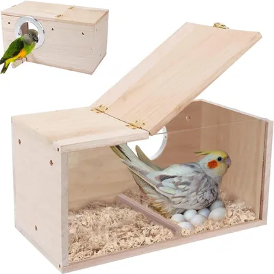 Immagine prodotto di Casetta per uccelli in legno con finestra naturale