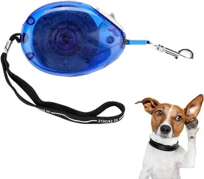 Image de Laisse rétractable pour chiens de petite et moyenne taille (bleue)