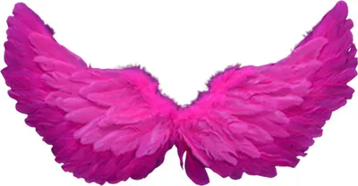 Produktbild von Engel Federflügel mit elastischen Trägern helle Farbe Leichtes Kostüm Cosplay Wings Photography Requisiten-Rosenrot