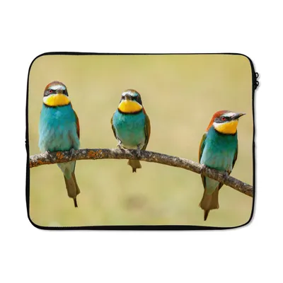 Produktbild von MuchoWow® Laptop Hülle 15 Zoll Vögel - Tiere - Bienenfresser Laptoptasche - Laptoptasche - Sleeve - Rundum-Schutz