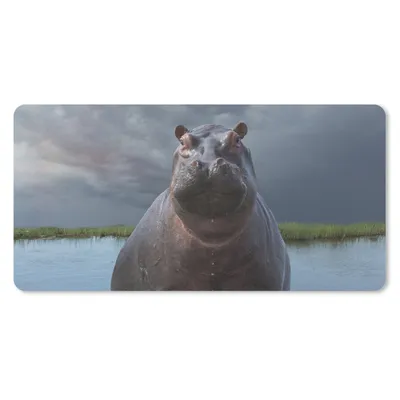 Produktbild von MuchoWow® Schreibtischunterlage Nilpferd - Wasser - Wolken 80x40 cm - XXL Mauspad - Gaming Mauspad