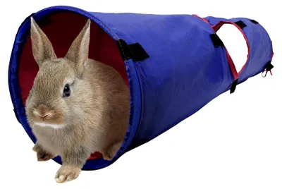 Produktbild von Haustiertunnel für Kleintiere, blau/rot