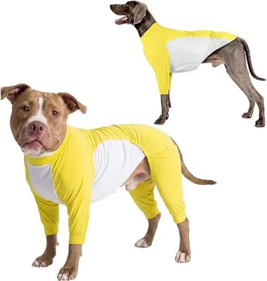 Produktbild von Famanu Hundeshirt 2-in-1, UV-Schutz und kühlend, leicht und atmungsaktiv, gelb, Größe L
