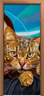 Produktbild von Türposter 80x200 cm Türaufkleber Türtapete Türfolie Klebefolie Kunst Frau die ihre Katze liebt