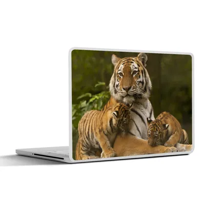 Produktbild von MuchoWow® Laptop Aufkleber Sticker Cover Tiger - Jungtiere - Natur 25x18 cm - Laptop-Deko