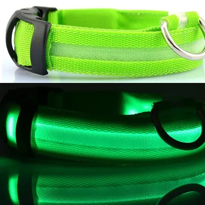 Produktbild von Hundehalsband Leuchthalsband Halsband für Hunde LED USB Aufladbar mit Akku GRÜN -  Größe Gr. S (34 - 41cm)