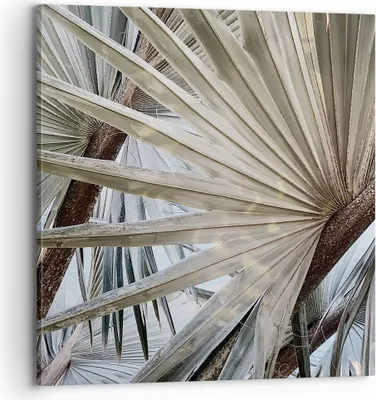 Produktbild von Bild auf Leinwand - Leinwandbild - Einteilig - Blatt Palme Natur - 70x70cm - Wand Bild - Wanddeko - Wandbilder - Leinwanddruck - Bilder - Wanddekoration - Leinwand bilder - Wandbild - AC70x70-5056