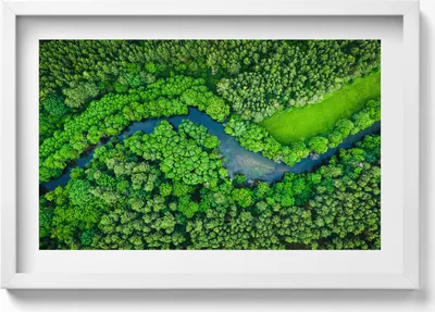 Produktbild von Wald und Fluss aus der Vogelperspektive– Wandbild mit Rahmen – Gerahmtes Bild  – Wanddekoration – 60x40 cm –  Schwarz Rahmen