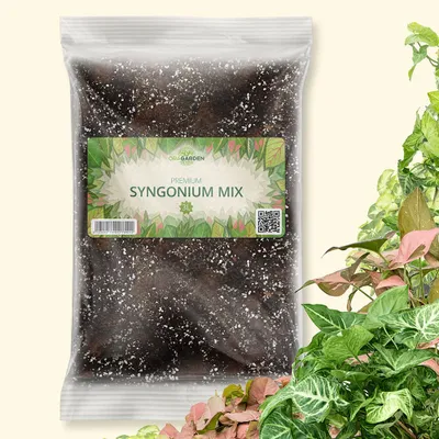Produktbild von OraGarden Syngonium-Erde 3 Liter