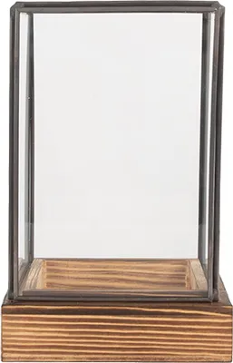 Produktbild von Clayre & Eef Dekorative Anzuchtkasten 12x12x19 cm Transparant Glas