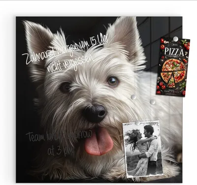 Produktbild von Magnettafel 30x30cm Pinnwand Whiteboard beschreibbar - Weisser Hund