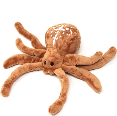 A stuffed toy spider on a white background.