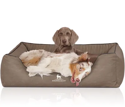 Produktbild von Knuffelwuff Orthopädisches Hundebett Columbia aus laser-gestepptem Kunstleder XL 105 x 75cm Stone