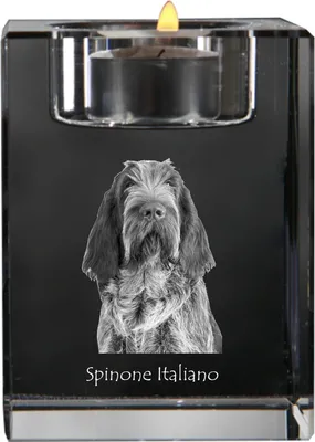 Produktbild von Italienischer Spinone, Spinone Italiano - Kerzenhalter mit Hundefoto, Teelichthalter aus Kristall, personalisiertes Geschenk der Marke Art-Dog